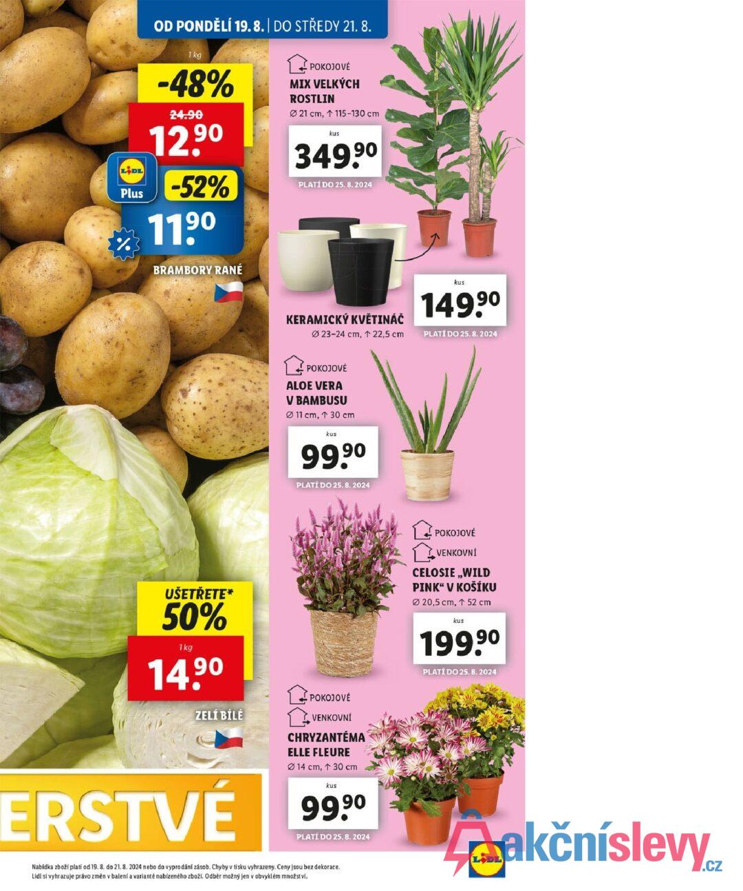 LIDL Plus OD PONDĚLÍ 19.8. | DO STŘEDY 21. 8. 1 kg -48% 24.90 12,90 -52% 1190 BRAMBORY RANÉ POKOJOVÉ MIX VELKÝCH ROSTLIN 21 cm, 115-130 cm kus 349.90 PLATÍ DO 25.8.2024 77 KERAMICKÝ KVĚTINÁČ 023-24 cm, ↑ 22,5 cm kus 149.90 PLATÍ DO 25.8.2024 POKOJOVÉ ALOE VERA V BAMBUSU 11 cm, 30 cm kus 99,90 PLATÍ DO 25.8.2024 UŠETŘETE* 50% 1kg 14.90 ZELÍ BÍLÉ ERSTVÉ POKOJOVÉ VENKOVNÍ CHRYZANTÉMA ELLE FLEURE Ø 14 cm, ↑ 30 cm kus 99,9⁰ PLATÍ DO 25.8.2024 POKOJOVÉ VENKOVNÍ CELOSIE,,WILD PINK" V KOŠÍKU 20,5 cm, ↑ 52 cm kus 199,90 PLATÍ DO 25.8.2024 Nabídka zboží platí od 19. 8. do 21. 8. 2024 nebo do vyprodání zásob. Chyby v tisku vyhrazeny. Ceny jsou bez dekorace. Lidl si vyhrazuje právo změn v balení a variantě nabízeného zboží. Odběr možný jen v obvyklém množství. LODL